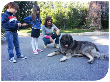  Caucasian shepherd with family and children